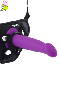 Goodhead Dong 6 Inch Purple