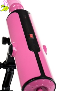 Pink Punk Sex machine