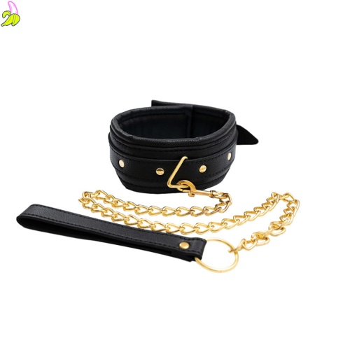 Collar with detachable leash