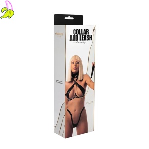 Collar with detachable leash