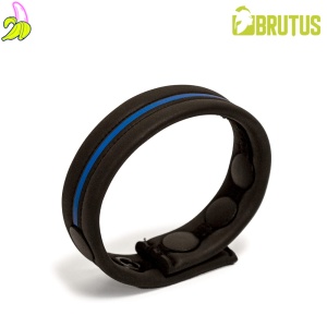 BRUTUS Neoprene Cockstrap Blue | Neoprenowy, zapinany cockring- niebieski