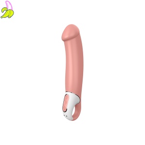 Satisfyer Vibes Master